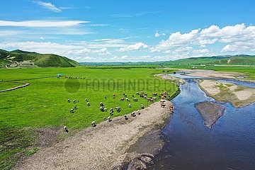 China-Inner Mongolia-Hinggan League-Ulan Mod Grassland-Scenery (CN)