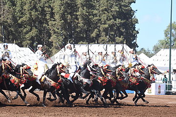 Marokko-Rabat-Pferd-Show-Fantasie Marokko-Rabat-Pferde-Show-Fantasie Marokko-Rabat-P-Pferde-Show-Fantasie