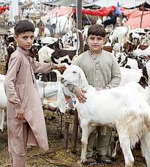 Pakistan-Rawalpindi-eid al-Adha