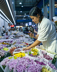 China-yunnan-Kunming-Flower-Markt (CN) China-Yunnan-Kunming-Flower-Markt (CN)