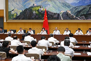 China-Beijing-Sun Chunlan-National Telekonferenz-Medical Reform (CN)