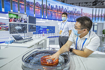 China-Chongqing-Investment & Trade International Fair (CN)