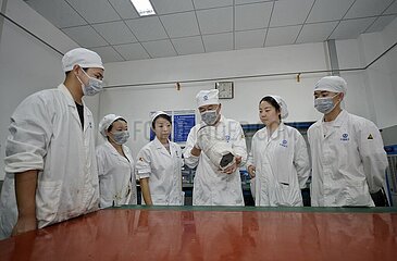 China-Sinnuan-Luzhou-Techniker initiieren Sprengstoff-Geräte-Wentian (CN)
