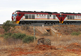 Kenia-Mombasa-Nairobi-Railway-Ecology-5-Jubiläum
