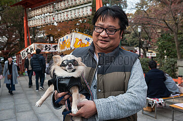 Kyoto  Japan  Ein Mann traegt in einem Park seinen Chihuahua Hund auf dem Arm