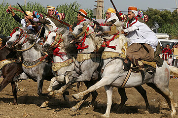 ALGERIA-ALGIERS-HORSE SHOW