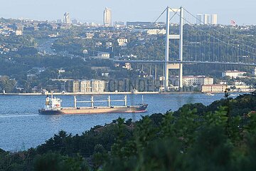 T?RKIYE-ISTANBUL-UKRAINE-GRAIN SHIPS