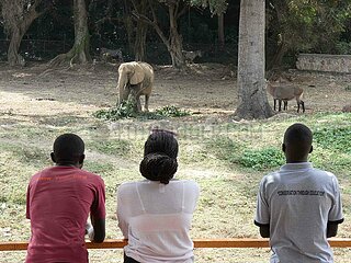 UGANDA-ENTEBBE-WORLD ELEPHANT DAY