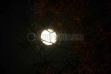 CYPRUS-TROODOS MOUNTAINS-FULL MOON