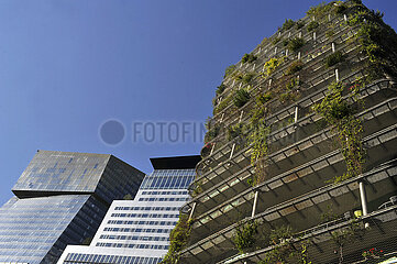 FRANCE. PARIS (75) 13TH ARR. LEFT BANK. ZAC MASSENA-BRUNESEAU. PLANT FACADE NEAR THE DUO TOWERS DESIGNED BY ARCHITECT JEAN NOUVEL. IMMEDIATELY BORDERING THE SEINE  THEY HAVE THE OFFICES OF MORE THAN 9 000 GROUPE BPCE EMPLOYEES (BANQUE POPULAIRE + CAISSE D'EPARGNE). THE TWO BUILDINGS WILL HOST AN AUDITORIUM  SHOPS  A LUXURY HOTEL  GREEN TERRACES  AS WELL AS A BELVEDERE GARDEN OPEN TO ALL