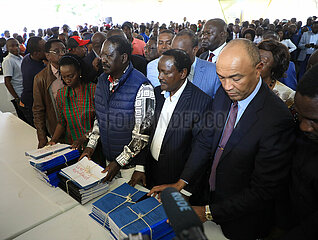 Kenya-Nairobi-Raila Odinga-Presspidential Ergebnispetition