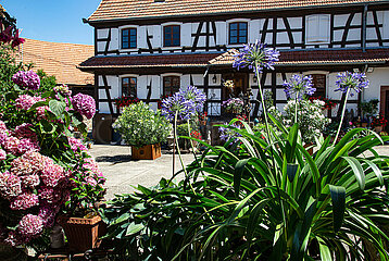 Frankreich. Elsass. Bas-Rhin (67) Dorf Hunspach (eines der schönsten Dörfer in Frankreich). Typisches Dorf Outre-Foret  das am schönsten französischen Dorf im Jahr 2020 gewählt wurde