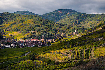 FRANKREICH. ELSASS. Haut-Rhin (68) Elsass Wine Route  Chateau de Schlossberg ist ein ehemaliges Schloss des 13. Jahrhunderts  das in der Stadt Kaysersberg bleibt