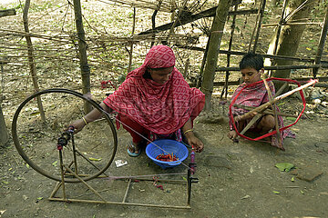 Bangladesch-Narayanganj-Bangladeshi Jamdani-China-hergestellte Materialien