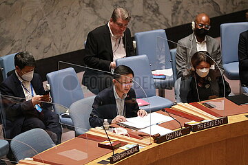 Unsicherheit Council-China-Envoy-Libya