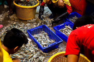 Myanmar-Yangon-Fish-Markt
