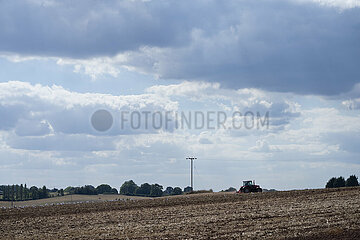 Großbritannien-Staffordshire-Farm Fields-Doting