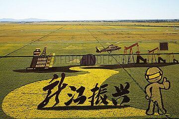 China-Heilongjiang-harbin-intellektuelle Landwirtschafts-Paddy-Reis (CN)