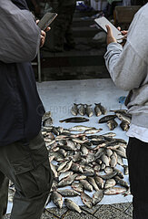 China-Heilongjiang-Fuyuan-Fish-Markt (CN)