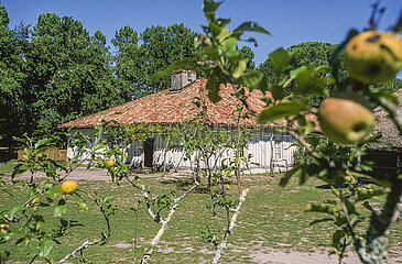 France. Aquitaine. Landes (40). The Ecomuseum of Marqueze bears witness to the agro-pastoral system and to life in the Haute Lande at the end of the 19th century