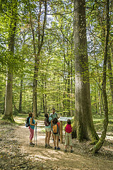 Frankreich. Auvergne. Allier (03). Familienspaziergang im Wald von Troncais  einem der schönsten Eichenwälder in Europa