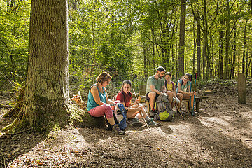 Frankreich. Auvergne. Allier (03). Familienspaziergang im Wald von Troncais  einem der schönsten Eichenwälder in Europa
