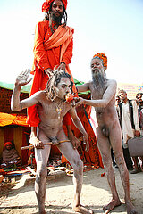 Indien  Uttar Pradesh State  Allahabad (Prayag) Ein Sadhu  der beim Kumbha Mela 2013 Buspenanzen praktiziert.