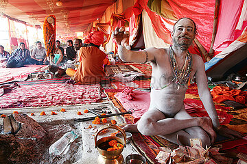 Indien  Uttar Pradesh State  Allahabad (Prayag) Ein Sadhu beim Kumbha Mela 2013. Kumbha Mela Hindu Festival  2013  tritt alle 12 Jahre vor