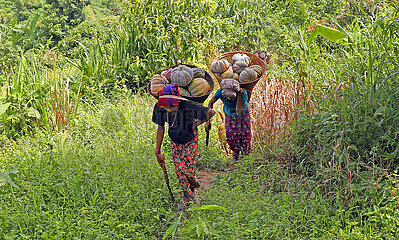 Bangladesch-Chattogramm-Harvest