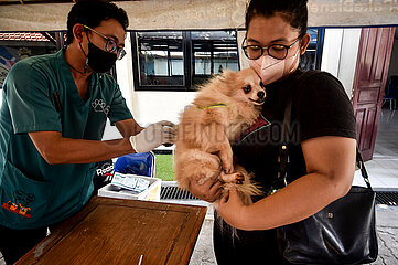INDONESIA-WORLD RABIES DAY-VACCINATION