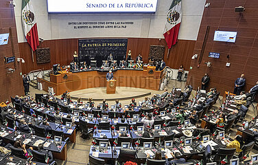 Senat in Mexiko