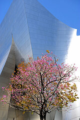 VEREINIGTE STAATEN VON AMERIKA. Kalifornien. Los Angeles. Stadt in der Stadt. Musik Zentrum. Die Walt Disney Concert Hall wurde 2003 vom Architekten Frank Gehry gebaut.