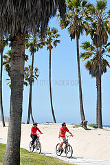 VEREINIGTE STAATEN VON AMERIKA. Kalifornien. Los Angeles. Venice Beach. Fahrrad an der Venedig -Strandpromenade.