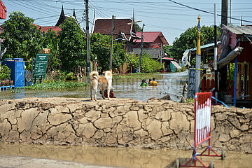 Thailand-Ayutthaya-Floods