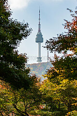 Südkorea-Seoul-Autumn-Landschaft