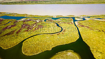 China-Shandong-gelbe Flussdelta-Wetland-Szenerie (CN)