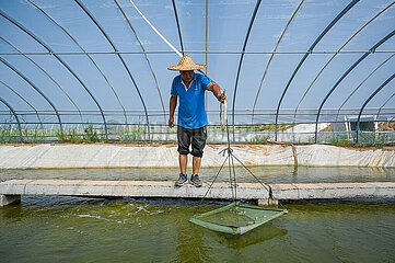 China-Inner Mongolia-Shrimp Aquakultur-Ekonomie (CN)