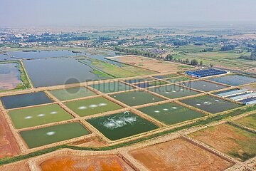 China-Inner Mongolia-Shrimp Aquakultur-Ekonomie (CN)