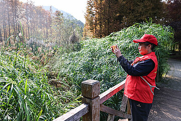 China-Guizhou-Wetland-Freiwillige (CN)