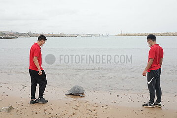 Ghana-Accra-Chinese-Projekt-Sea-Schildkrötenschutz