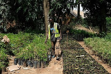Uganda-Kampala-Bamboo Association