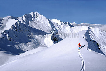 France  La Plagne  Savoy ( 73 )  touring ski on the slopes of Mont Jovet mountain in Alps