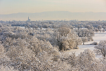 France. Alsace  Bas-Rhin (67) Vegetation at the end of the Bruche valley under the snow in winter with Strasbourg cathedral from the heights of Hangenbieten