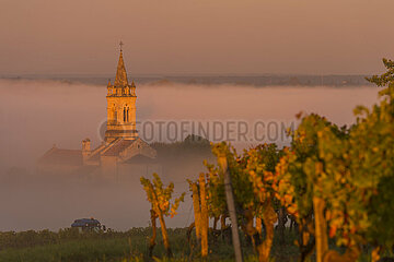 FRANCE  GIRONDE (33) LOUPIAC  DAILY DAY OVER THE COUNTRY AND VINEYARD IN BETWEEN TWO SEAS  BORDEAUX VINEYARD  CHURCHE IN MORNING FOG