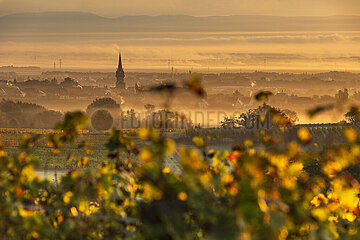 France. Alsace. Bas-Rhin (67) The village of Bernardswiller in the mist in autumn  in the heart of the Affenberg vineyard