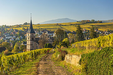 France. Alsace  Haut-Rhin (68) the village of Barr in autumn with its Protestant church in the heart of the vineyard