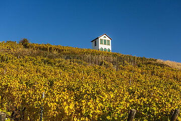 France. Alsace. Haut-Rhin (68) Barr. the Kirchberg Grand Cru vineyard in autumn