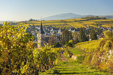 France. Alsace  Haut-Rhin (68) the village of Barr in autumn with its Protestant church in the heart of the vineyard