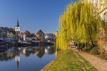 FRANCE  Alsace  Bas-Rhin (67)  Strasbourg  Bank of Ill river in spring and Saint-Guillaume church