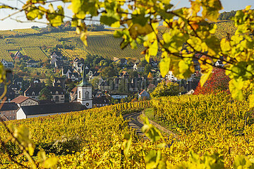 France. Alsace. Haut-Rhin (68) the village of Barr in autumn in the heart of the Kirchberg vineyard